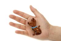 Scooby Doo figúrka 2,5"